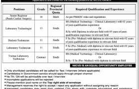 latest jobs in karachi, jobs in karachi, new jobs at nicvd karachi 2024, latest jobs in pakistan, jobs in pakistan, latest jobs pakistan, newspaper jobs today, latest jobs today, jobs today, jobs search, jobs hunt, new hirings, jobs nearby me,