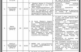 latest jobs in punjab, jobs in punjab, punjab govt jobs, latest jobs in pakistan, jobs in pakistan, latest jobs pakistan, newspaper jobs today, latest jobs today, jobs today, jobs search, jobs hunt, new hirings, jobs nearby me,