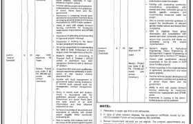 latest jobs in punjab, jobs at agriculture department punjab 2024, latest jobs in pakistan, jobs in pakistan, latest jobs pakistan, newspaper jobs today, latest jobs today, jobs today, jobs search, jobs hunt, new hirings, jobs nearby me,