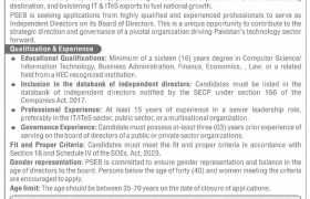 latest jobs in islamabad, it jobs in islamabad, new job at pseb 2024, latest jobs in pakistan, jobs in pakistan, latest jobs pakistan, newspaper jobs today, latest jobs today, jobs today, jobs search, jobs hunt, new hirings, jobs nearby me