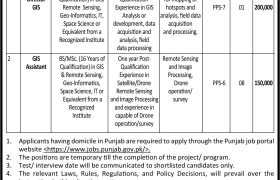 latest jobs in punjab, jobs in punjab, new jobs at ep&cc department punjab 2024, latest jobs in pakistan, jobs in pakistan, latest jobs pakistan, newspaper jobs today, latest jobs today, jobs today, jobs search, jobs hunt, new hirings, jobs nearby me,