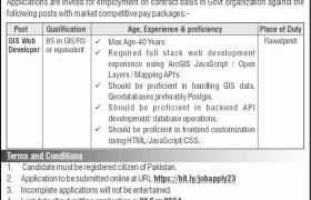 latest jobs in rawalpindi, jobs at govt organization rawalpindi 2024, latest jobs in pakistan, jobs in pakistan, latest jobs pakistan, newspaper jobs today, latest jobs today, jobs today, jobs search, jobs hunt, new hirings, jobs nearby me,