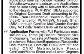 latest jobs in nawabshah, jobs in sindh, jobs at pumhs nawabshah 2024, latest jobs in pakistan, jobs in pakistan, latest jobs pakistan, newspaper jobs today, latest jobs today, jobs today, jobs search, jobs hunt, new hirings, jobs nearby me,