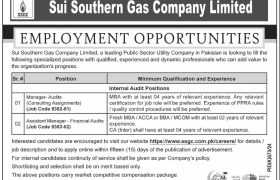 latest jobs in sindh, jobs in balochistan, finance & audit jobs at ssgcl 2024, latest jobs in pakistan, jobs in pakistan, latest jobs pakistan, newspaper jobs today, latest jobs today, jobs today, jobs search, jobs hunt, new hirings, jobs nearby me