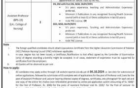 latest jobs in bahawalpur, jobs in bahawalpur, jobs at islamia university of bahawalpur 2024, latest jobs in pakistan, jobs in pakistan, latest jobs pakistan, newspaper jobs today, latest jobs today, jobs today, jobs search, jobs hunt, new hirings, jobs nearby me,