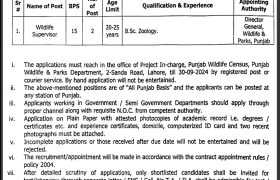 latest jobs in punjab, jobs in punjab, punjab govt jobs, jobs at punjab wildlife & parks department 2024, latest jobs in pakistan, jobs in pakistan, latest jobs pakistan, newspaper jobs today, latest jobs today, jobs today, jobs search, jobs hunt, new hirings, jobs nearby me,