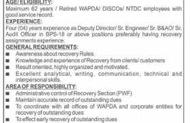 latest jobs in pwf, wapda jobs, recovery officer job at pwf 2024, latest jobs in pakistan, jobs in pakistan, latest jobs pakistan, newspaper jobs today, latest jobs today, jobs today, jobs search, jobs hunt, new hirings, jobs nearby me,