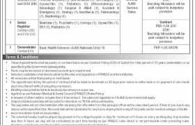 latest jobs in ajk, jobs in ajk, faculty jobs at poonch medical college 2024, latest jobs in pakistan, jobs in pakistan, latest jobs pakistan, newspaper jobs today, latest jobs today, jobs today, jobs search, jobs hunt, new hirings, jobs nearby me,