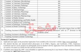 latest jobs in kpk, jobs in kpk, posts at university of agriculture di khan 2024, latest jobs in pakistan, jobs in pakistan, latest jobs pakistan, newspaper jobs today, latest jobs today, jobs today, jobs search, jobs hunt, new hirings, jobs nearby me,