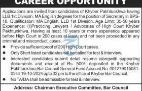 latest jobs in peshawar, jobs in peshawar, jobs at bar council pesahwar 2024, latest jobs in pakistan, jobs in pakistan, latest jobs pakistan, newspaper jobs today, latest jobs today, jobs today, jobs search, jobs hunt, new hirings, jobs nearby me,