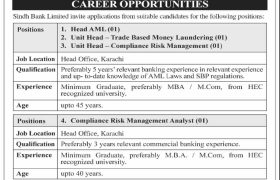 latest jobs in sindh bank, vacancies at sindh bank limited 2024, latest jobs in pakistan, jobs in pakistan, latest jobs pakistan, newspaper jobs today, latest jobs today, jobs today, jobs search, jobs hunt, new hirings, jobs nearby me