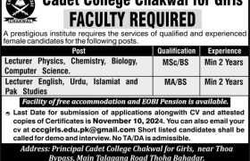 latest jobs in chakwal, jobs in chakwal, new jobs at cadet college chakwal for girls 2024, latest jobs in pakistan, jobs in pakistan, latest jobs pakistan, newspaper jobs today, latest jobs today, jobs today, jobs search, jobs hunt, new hirings, jobs nearby me