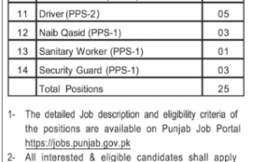 latest jobs in punjab, jobs in punjab, jobs at pmu energy dept punjab 2024, latest jobs in pakistan, jobs in pakistan, latest jobs pakistan, newspaper jobs today, latest jobs today, jobs today, jobs search, jobs hunt, new hirings, jobs nearby me,