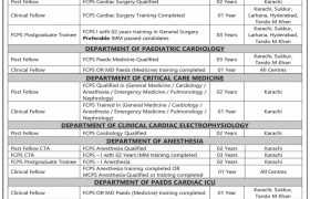 latest jobs in sindh, jobs in sindh, positions available at nicvd & sicvd 2024, latest jobs in pakistan, jobs in pakistan, latest jobs pakistan, newspaper jobs today, latest jobs today, jobs today, jobs search, jobs hunt, new hirings, jobs nearby me,