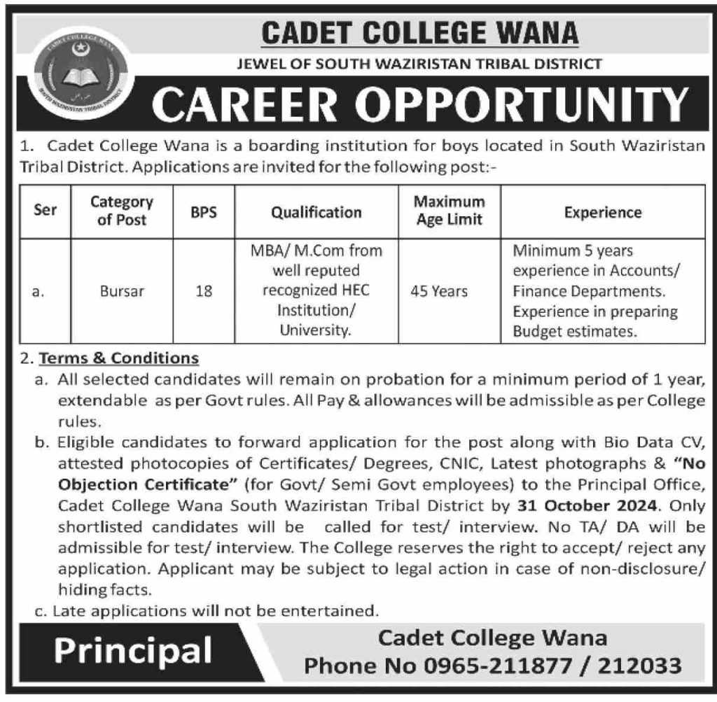 latest jobs in wana, jobs in waziristan, bursar job at cadet college wana 2024, latest jobs in pakistan, jobs in pakistan, latest jobs pakistan, newspaper jobs today, latest jobs today, jobs today, jobs search, jobs hunt, new hirings, jobs nearby me,