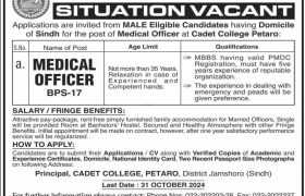 latest jobs in sindh, jobs in sindh, medical position at cadet college petaro 2024, medical jobs in sindh, latest jobs in pakistan, jobs in pakistan, latest jobs pakistan, newspaper jobs today, latest jobs today, jobs today, jobs search, jobs hunt, new hirings, jobs nearby me,