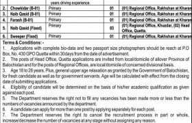 latest jobs in balochistan, provincial ombudsman secretariat balochistan jobs 2024, latest jobs in pakistan, jobs in pakistan, latest jobs pakistan, newspaper jobs today, latest jobs today, jobs today, jobs search, jobs hunt, new hirings, jobs nearby me,