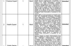 latest jobs in islamabad, jobs in islamabad, required audit committee members 2024, latest jobs in pakistan, jobs in pakistan, latest jobs pakistan, newspaper jobs today, latest jobs today, jobs today, jobs search, jobs hunt, new hirings, jobs nearby me,