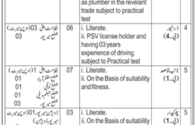 latest jobs in muzaffarabad, jobs in ajk, jobs at local govt deptt muzaffarabad 2024, latest jobs in pakistan, jobs in pakistan, latest jobs pakistan, newspaper jobs today, latest jobs today, jobs today, jobs search, jobs hunt, new hirings, jobs nearby me,