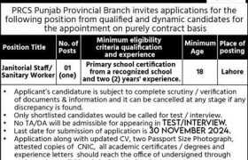 latest jobs in punjab, jobs in punjab, new job at prcs punjab 2024, latest jobs in pakistan, jobs in pakistan, latest jobs pakistan, newspaper jobs today, latest jobs today, jobs today, jobs search, jobs hunt, new hirings, jobs nearby me,