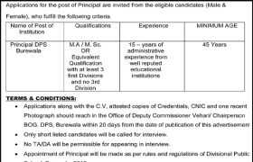 latest jobs in bhurewala, job at dps bhurewala 2024, latest jobs in pakistan, jobs in pakistan, latest jobs pakistan, newspaper jobs today, latest jobs today, jobs today, jobs search, jobs hunt, new hirings, jobs nearby me