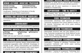 latest jobs in sindh, jobs in sindh, new vacancies at siut biut nawabshah 2024, latest jobs in pakistan, jobs in pakistan, latest jobs pakistan, newspaper jobs today, latest jobs today, jobs today, jobs search, jobs hunt, new hirings, jobs nearby me,