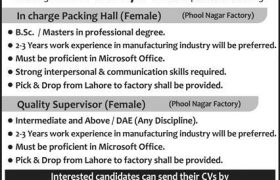 jobs in lahore, latest jobs in lahore, new jobs at sayyed engineer limited 2024, latest jobs in pakistan, jobs in pakistan, latest jobs pakistan, newspaper jobs today, latest jobs today, jobs today, jobs search, jobs hunt, new hirings, jobs nearby me