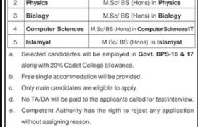 latest jobs in punjab, jobs at cadet college pasrur 2024, latest jobs in pakistan, jobs in pakistan, latest jobs pakistan, newspaper jobs today, latest jobs today, jobs today, jobs search, jobs hunt, new hirings, jobs nearby me