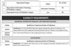 latest jobs in punjab, jobs in punjab, jobs at university of punjab 2024, latest jobs in pakistan, jobs in pakistan, latest jobs pakistan, newspaper jobs today, latest jobs today, jobs today, jobs search, jobs hunt, new hirings, jobs nearby me,