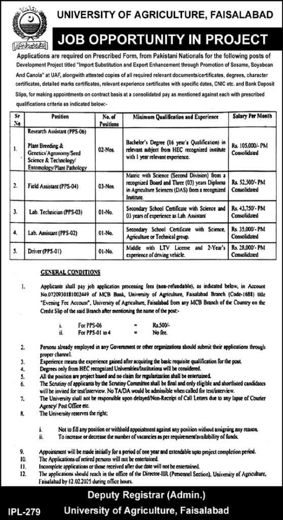 latest jobs in faisalabad, jobs at uni of agriculture faisalabad 2025, agriculture university faisalabad jobs, 