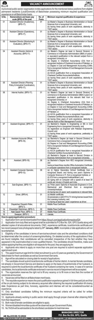 latest jobs in balochistan, jobs at public sector organization balochistan 2025, public sector jobs in balochistan, 